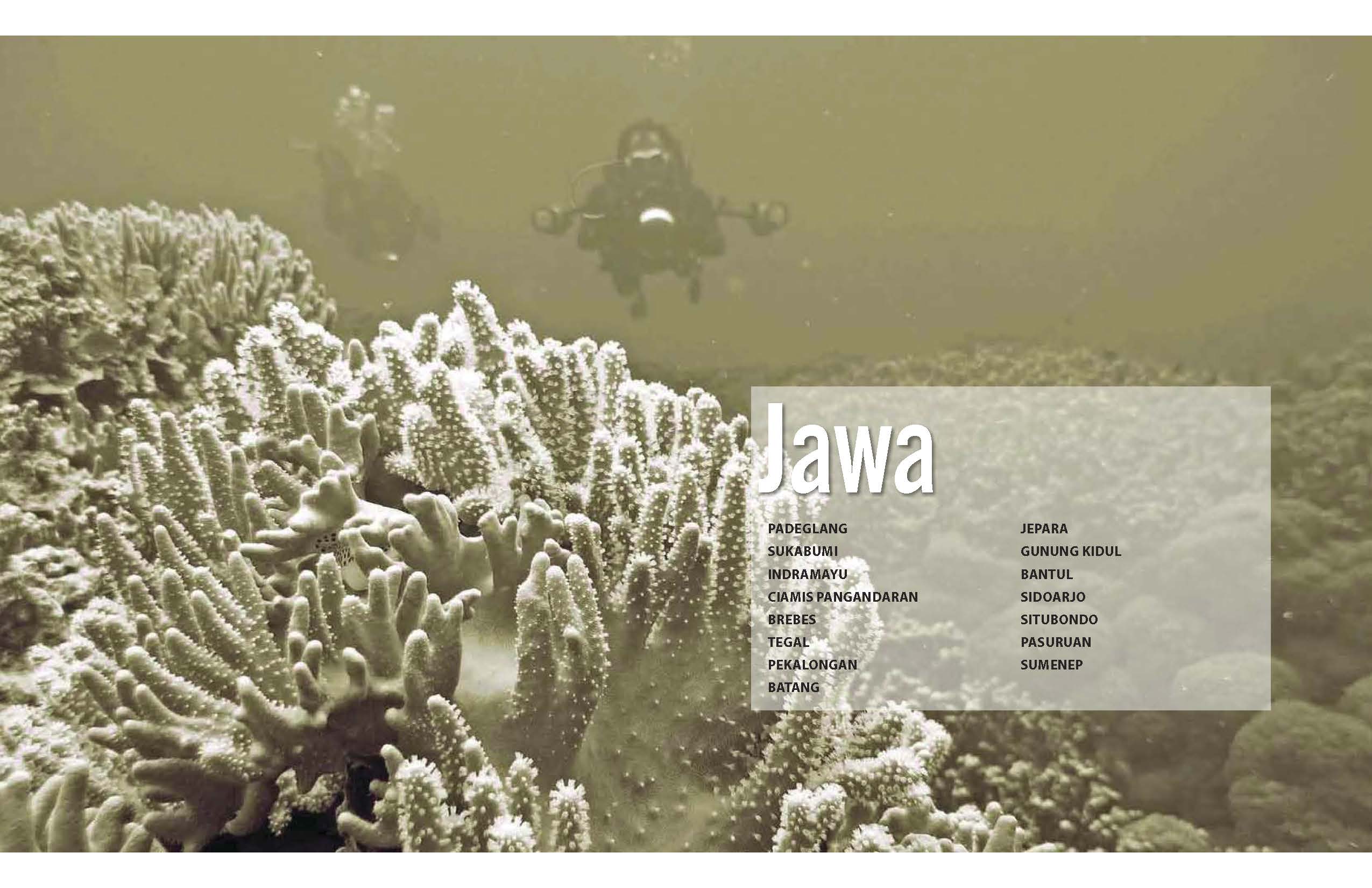 Profil Kawasan Konservasi Perairan, Pesisir dan Pulau-pulau Kecil - JAWA